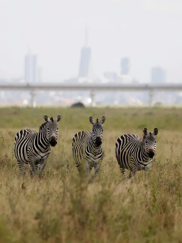 Arusha NP