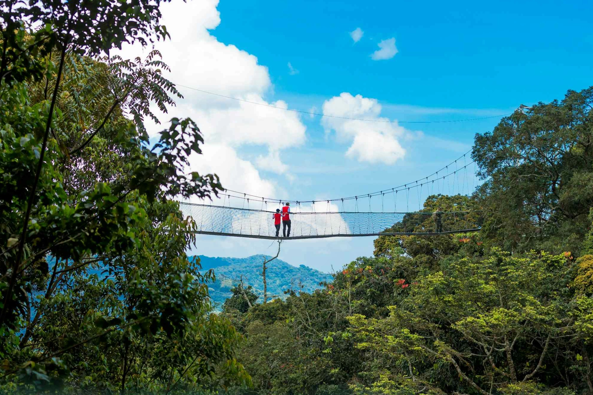 Rwanda Nyungwe Forest National Park