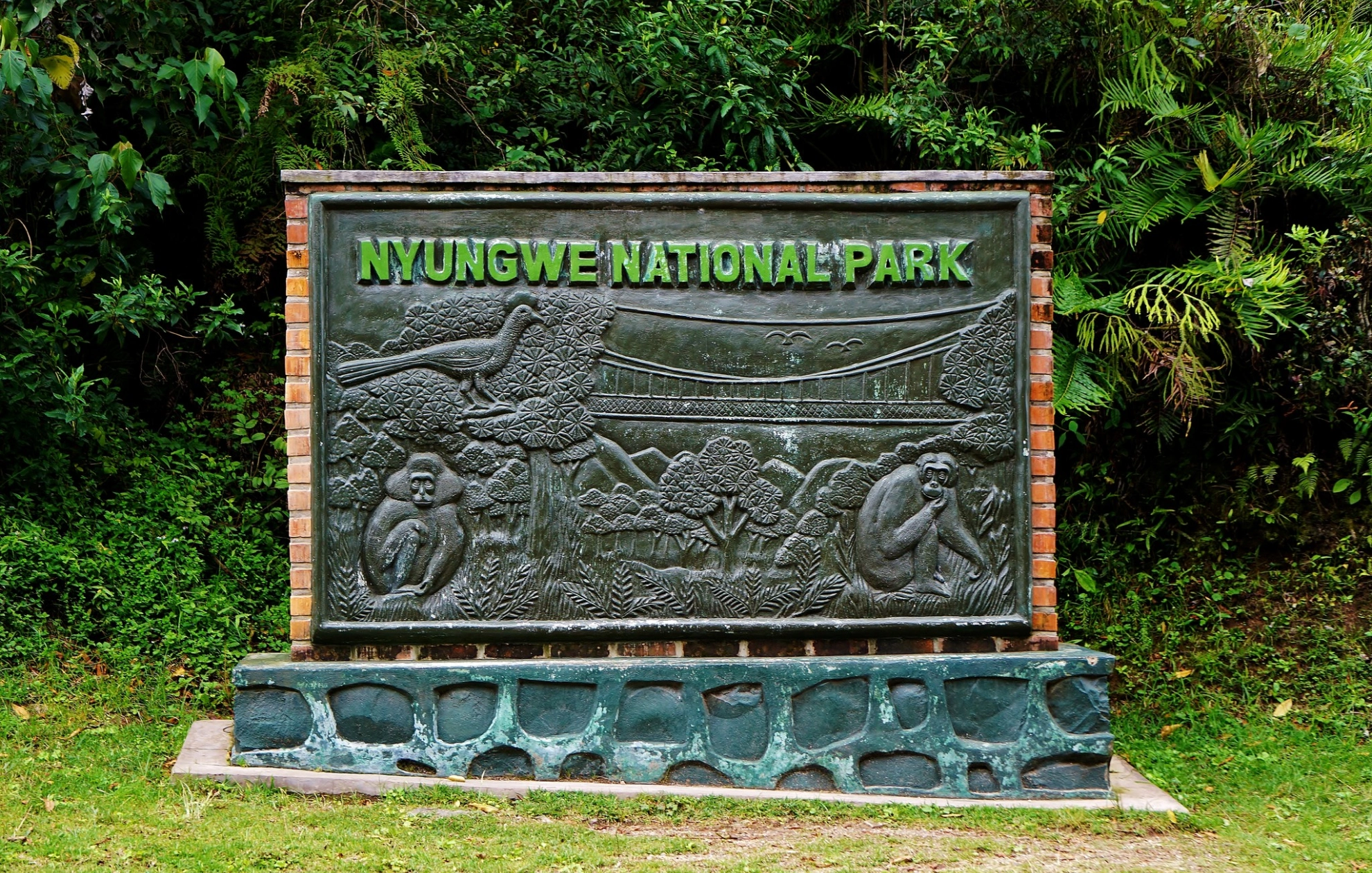 Rwanda Nyungwe Forest National Park