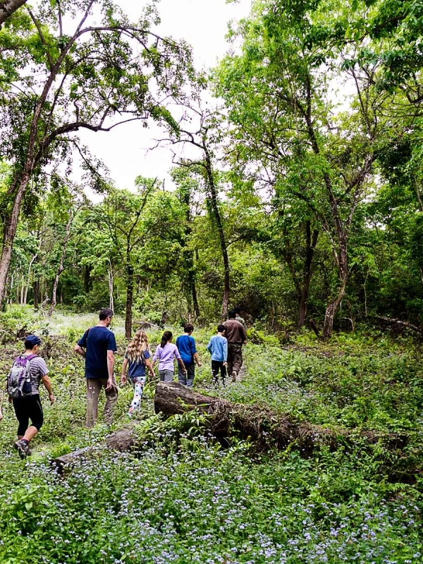 Hiking in Nyungwe