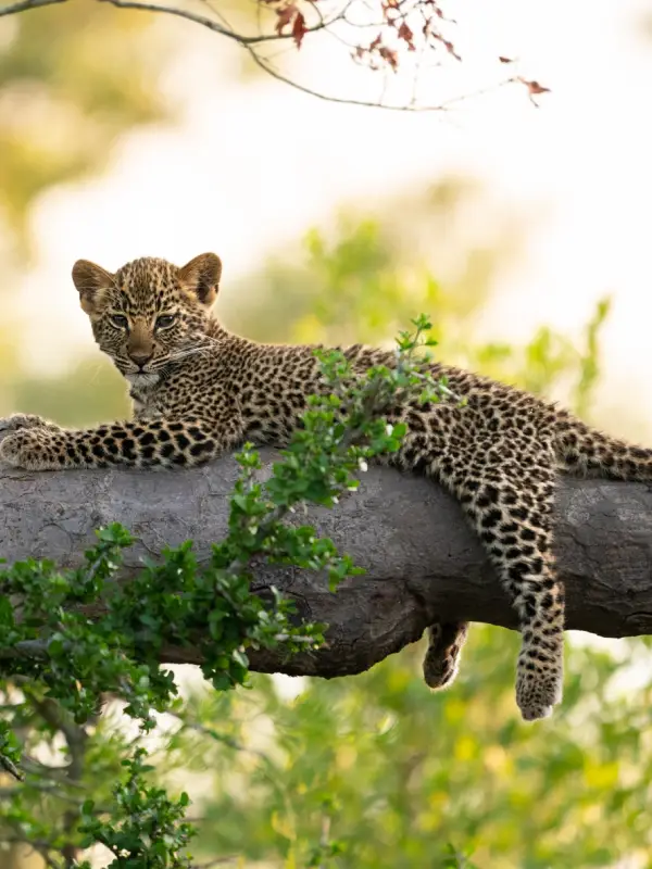 Uganda Destinations