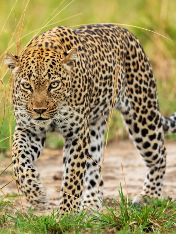 Lake Manyara