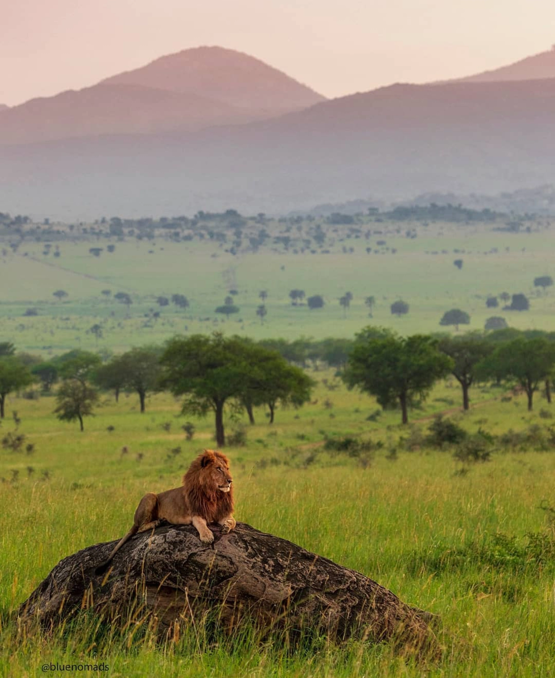 Best Time to Visit Samburu Game Reserve