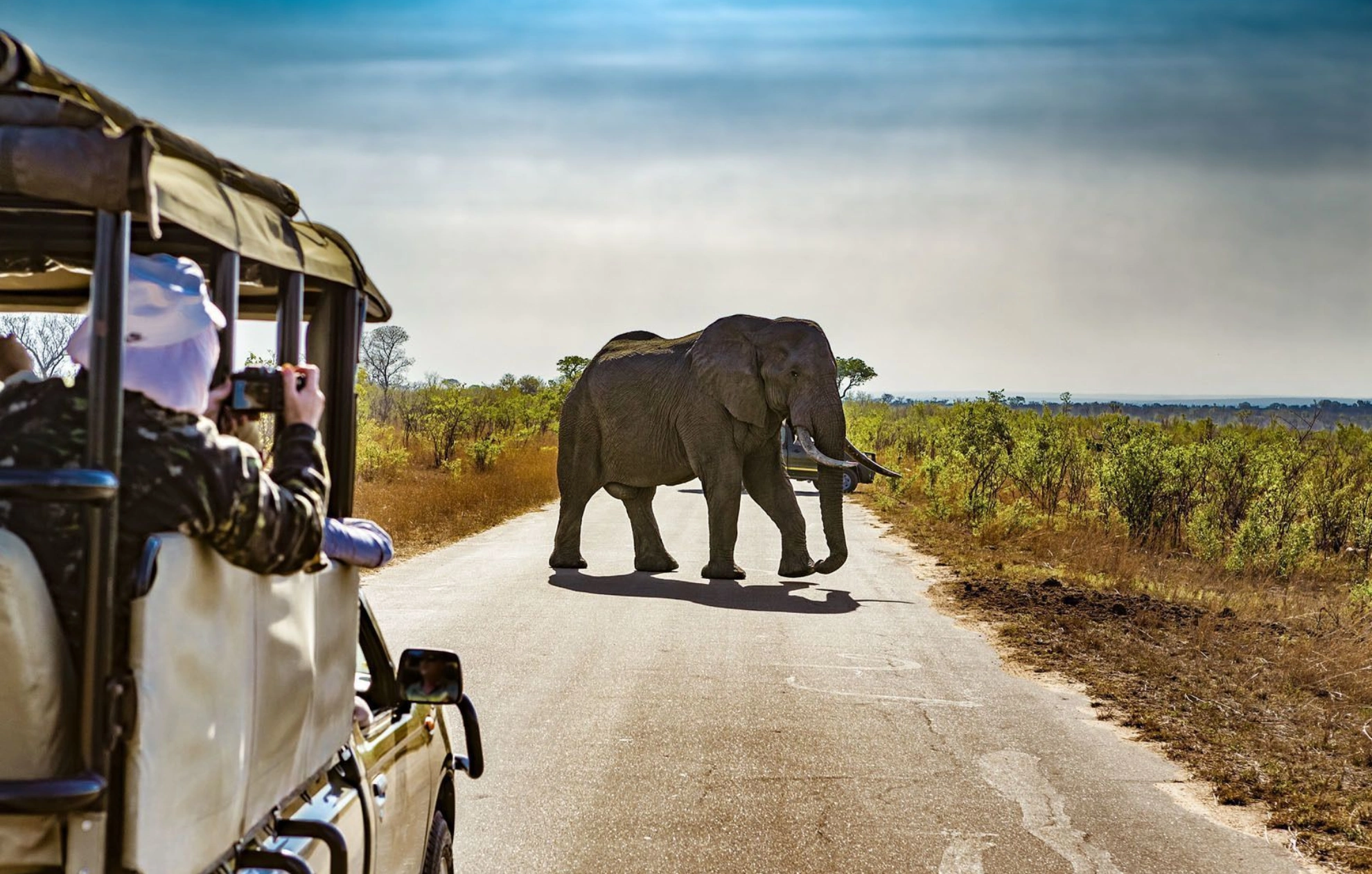 Tanzania Safari Experience Attractions