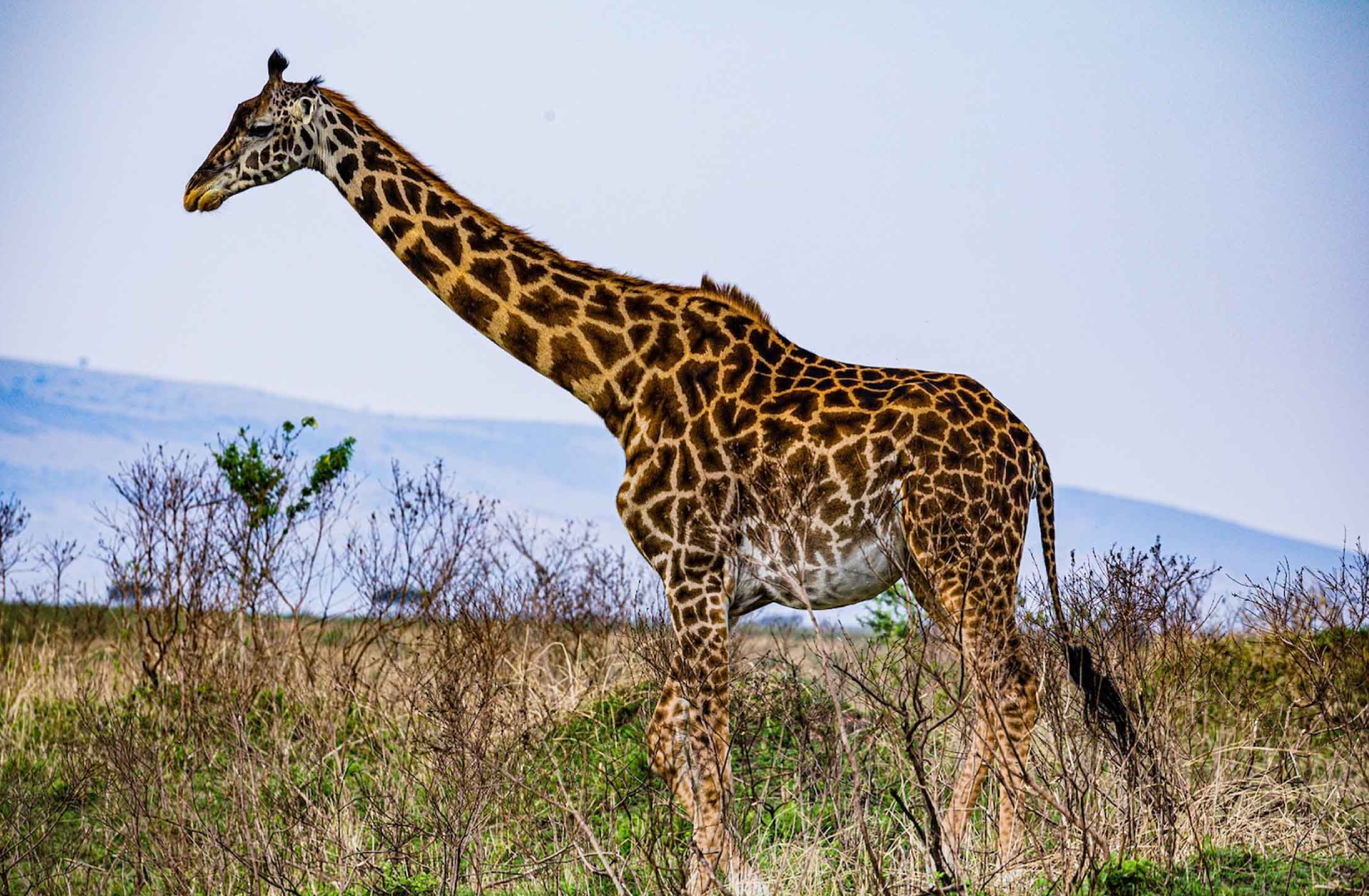 Tanzania Travel Insurance