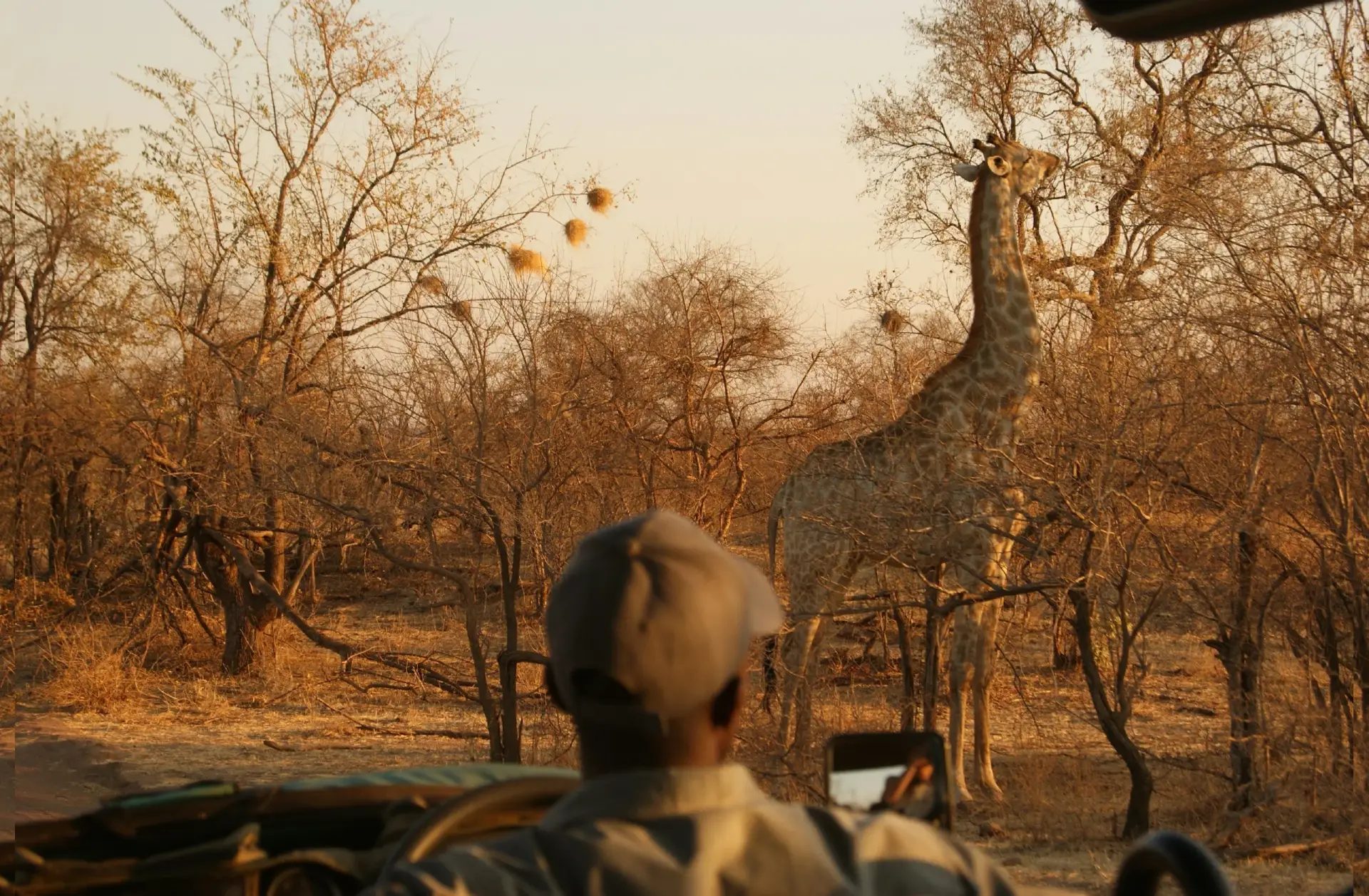 Tipping in Tanzania