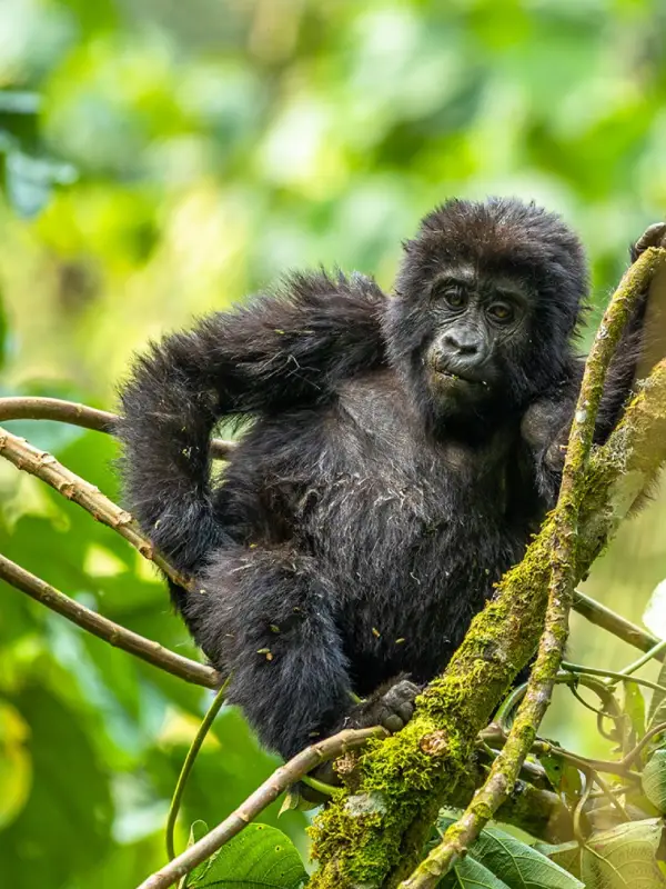 Uganda Destinations