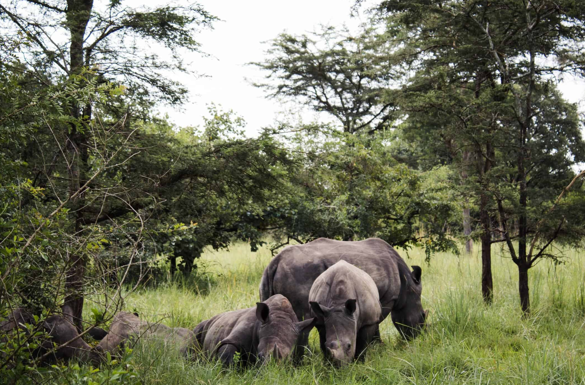Uganda Destinations