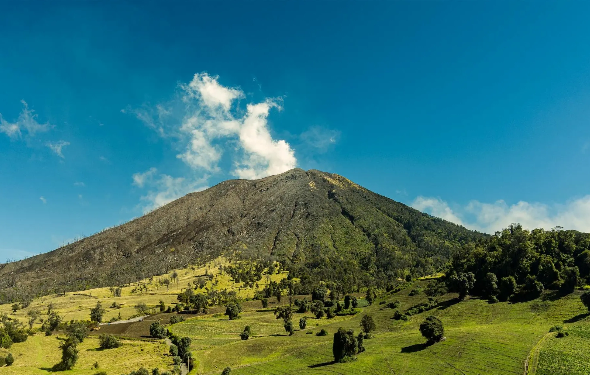Mountain Majesty