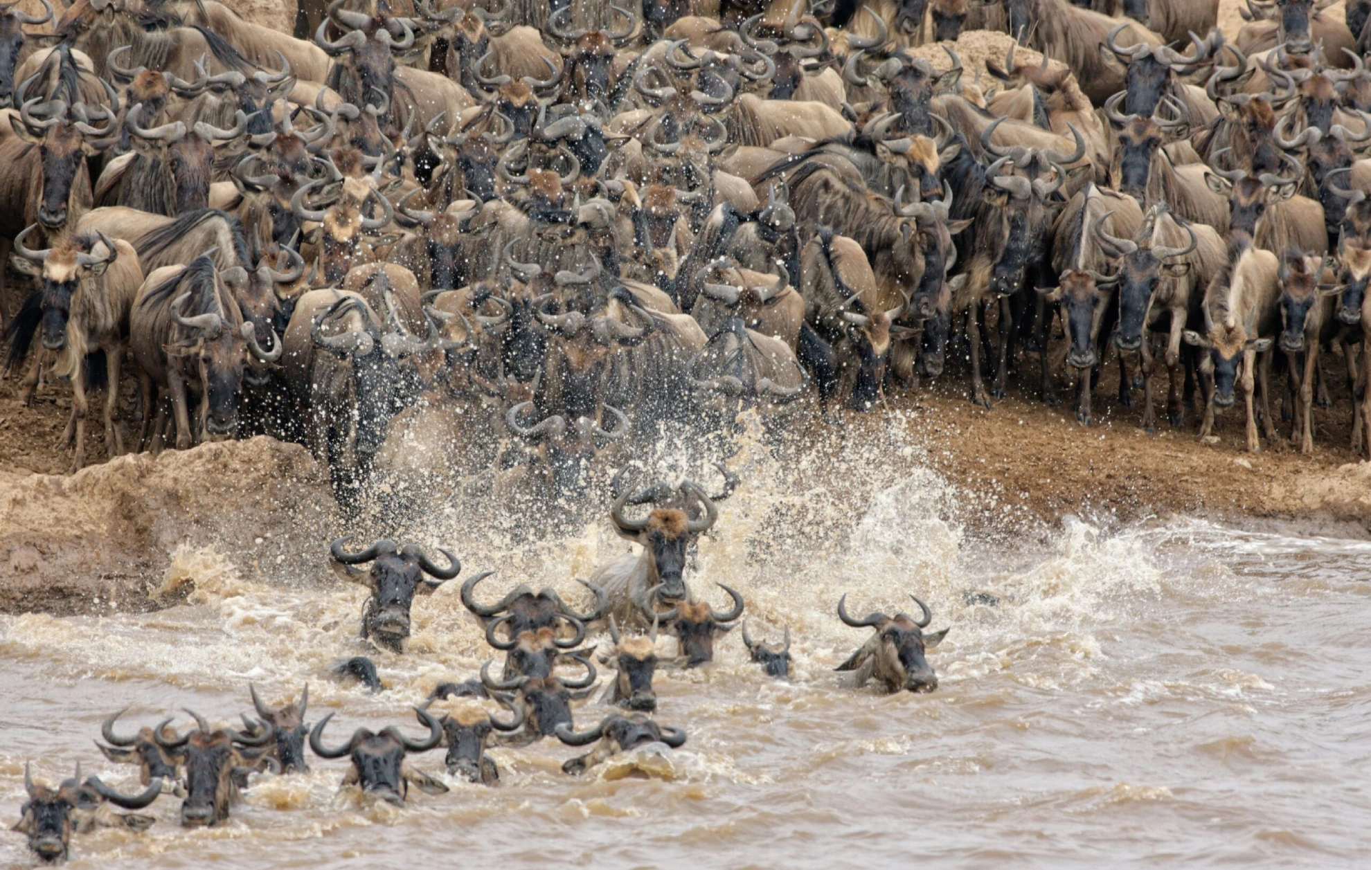 Wildebeest Migration Attractions