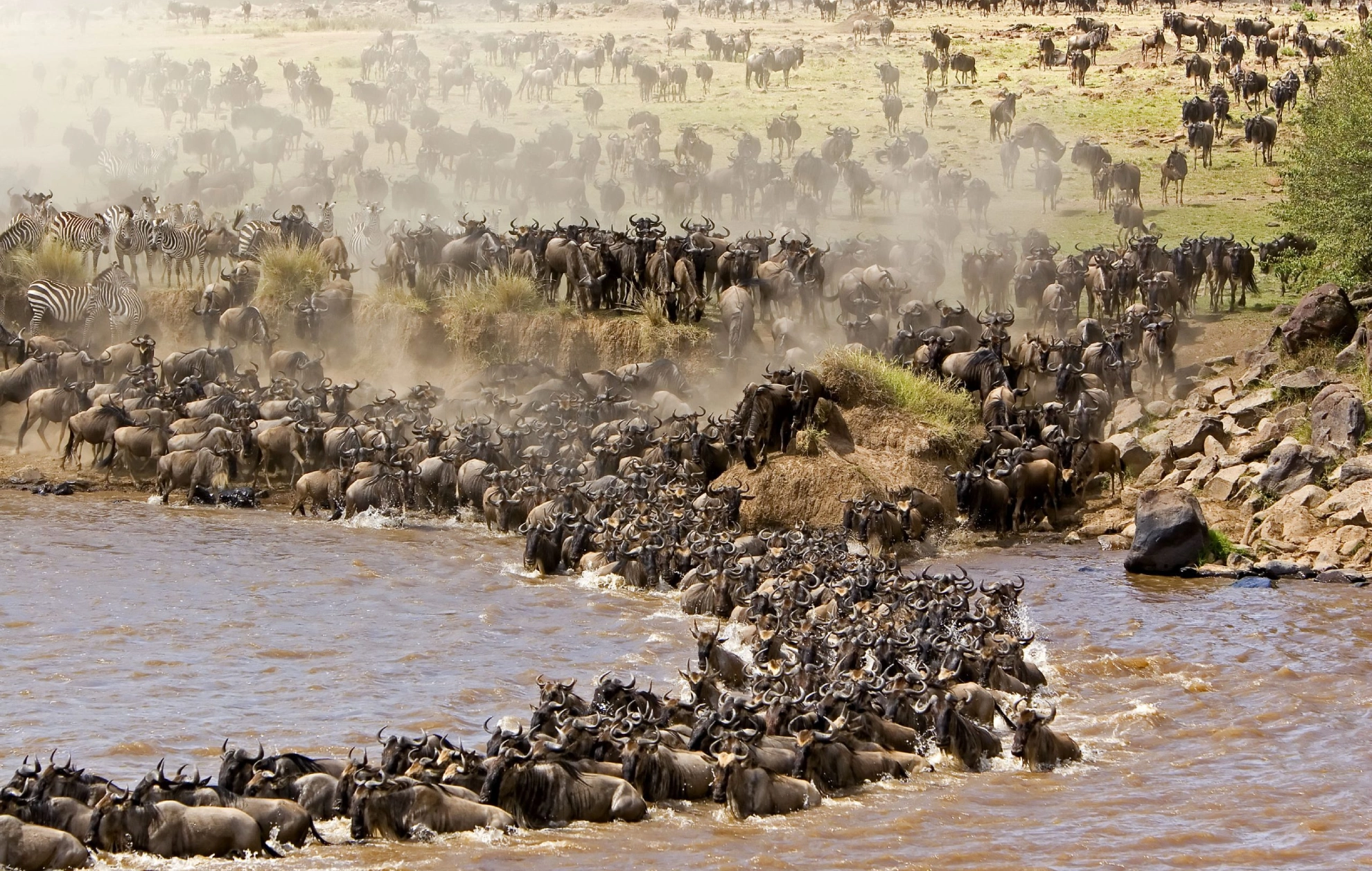 Wildebeest Migration Attractions