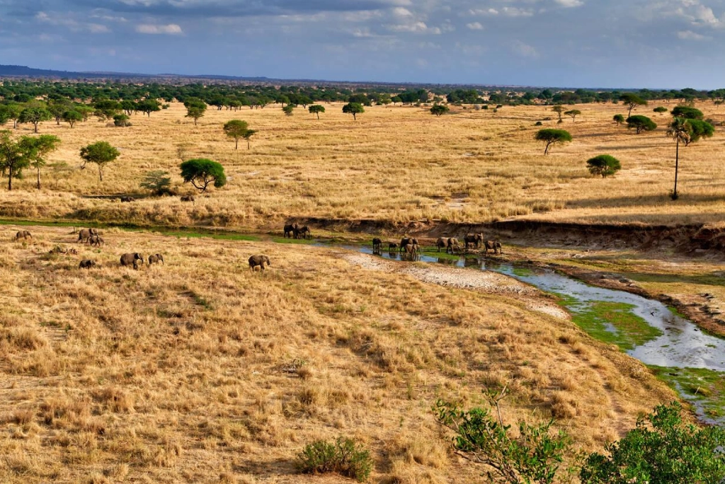 7-days-tanzania-safari-7