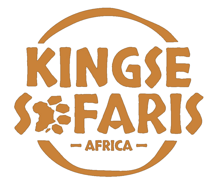 Kingse Safaris