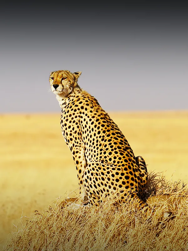 Tanzania Destinations