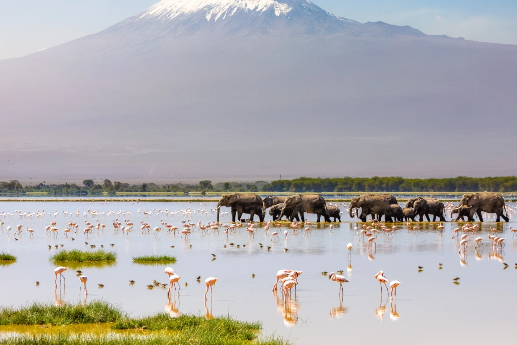 Amboseli National Park Attractions