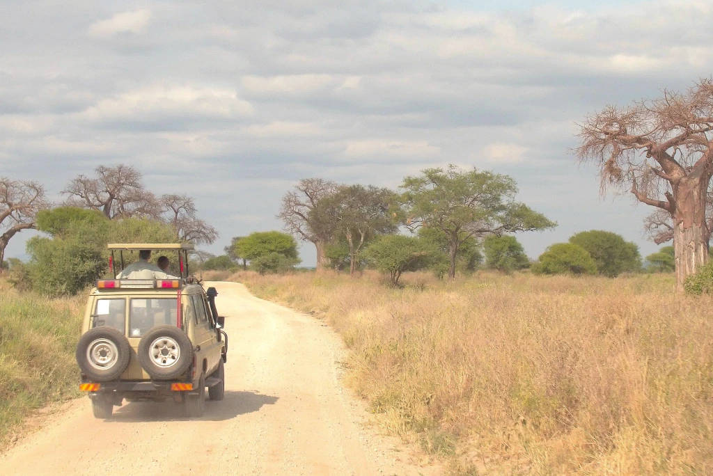 Tanzania Game Drive Safari