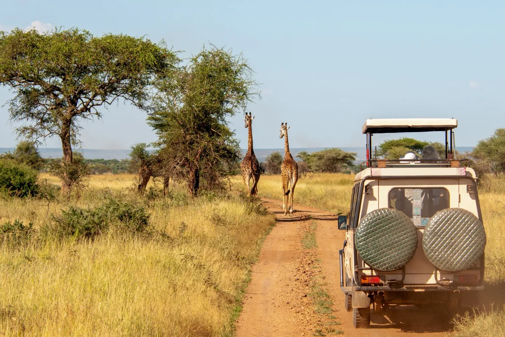 Game Drive Tanzania