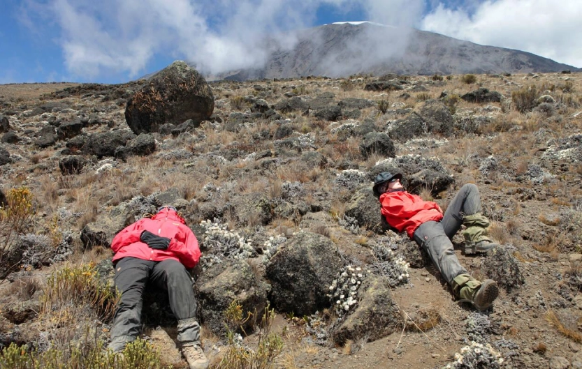 Mt Kilimanjaro Altitude