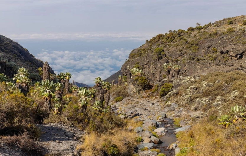 Kilimanjaro weather