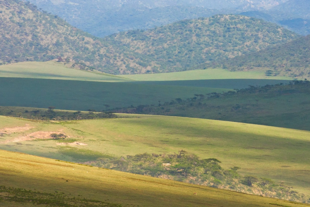 12-days-tanzania-safari-and-zanzibar-extension-gol