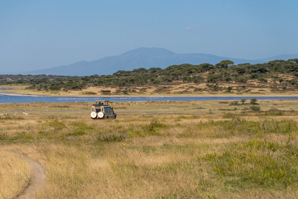 12-days-tanzania-safari-and-zanzibar-extension-ndutu