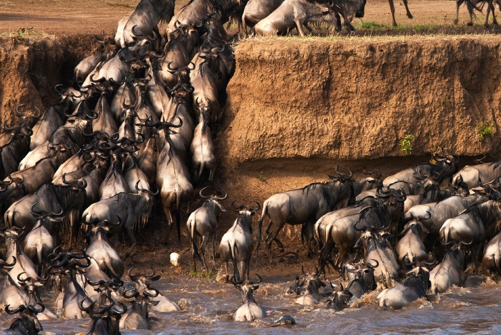 19-days-tanzanian-kenyan-cultural-and-wildlife-safari-18