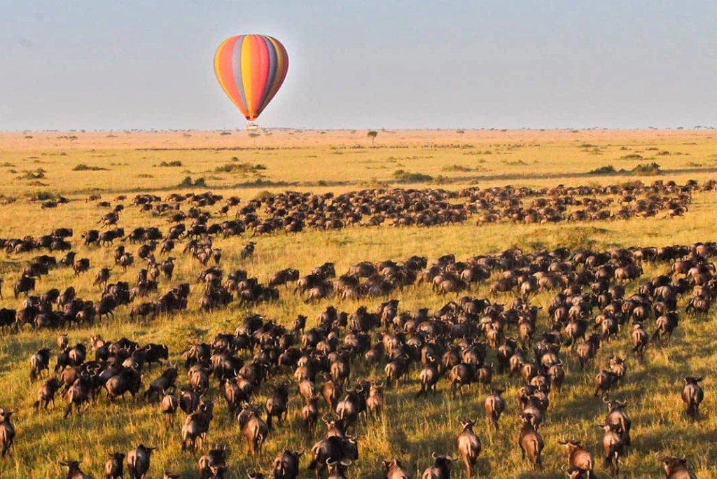 19-days-tanzanian-kenyan-cultural-and-wildlife-safari-21