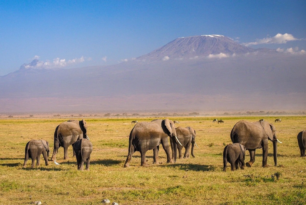 19-days-tanzanian-kenyan-cultural-and-wildlife-safari-23