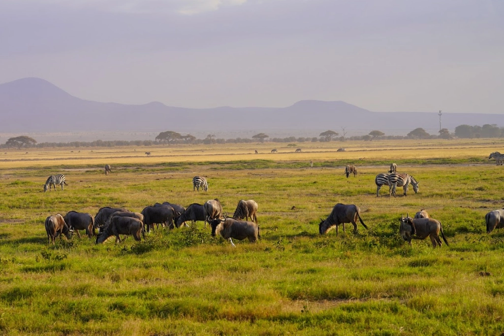 19-days-tanzanian-kenyan-cultural-and-wildlife-safari-24