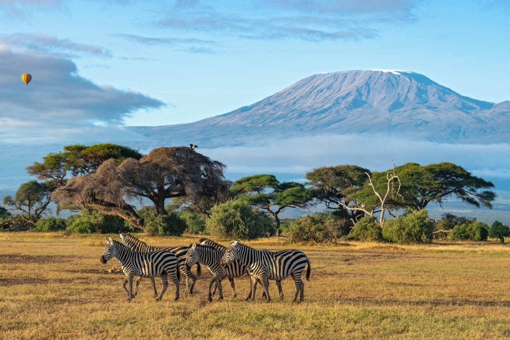 19-days-tanzanian-kenyan-cultural-and-wildlife-safari-28