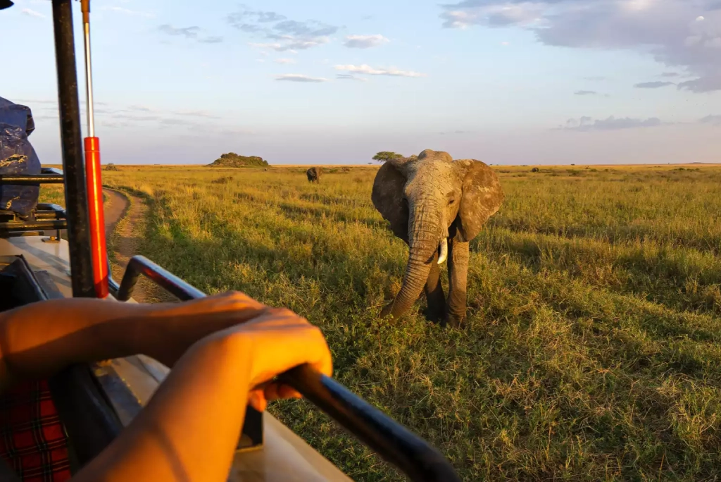 19-days-tanzanian-kenyan-cultural-and-wildlife-safari-33