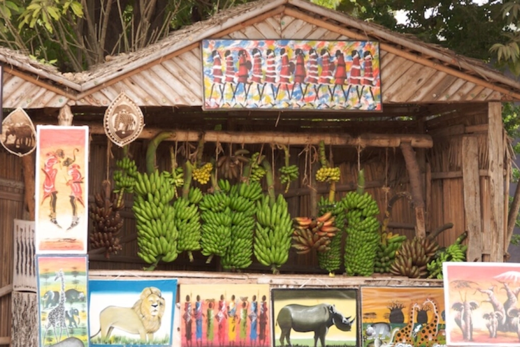 19-days-tanzanian-kenyan-cultural-and-wildlife-safari-35