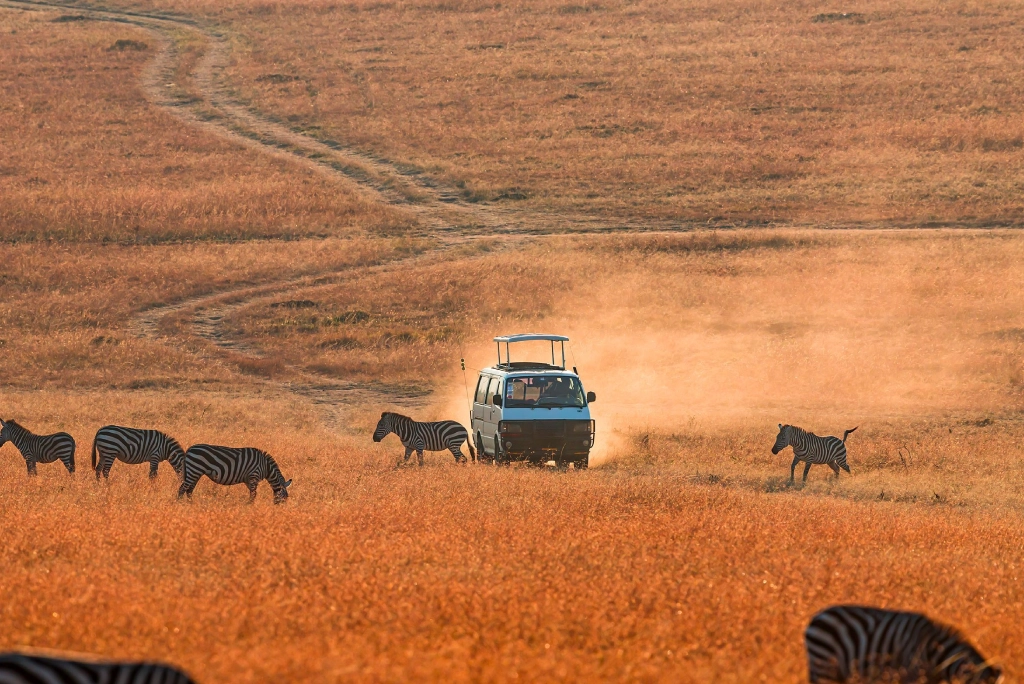 19-days-tanzanian-kenyan-cultural-and-wildlife-safari-4