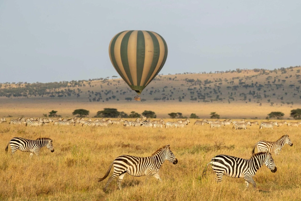 19-days-tanzanian-kenyan-cultural-and-wildlife-safari-47
