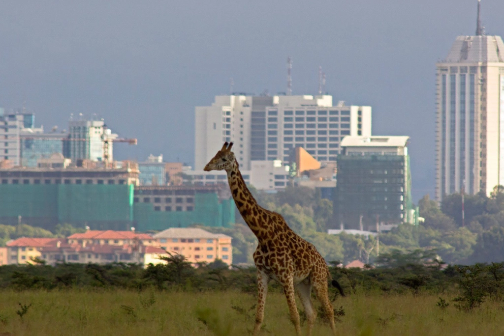 19-days-tanzanian-kenyan-cultural-and-wildlife-safari-5