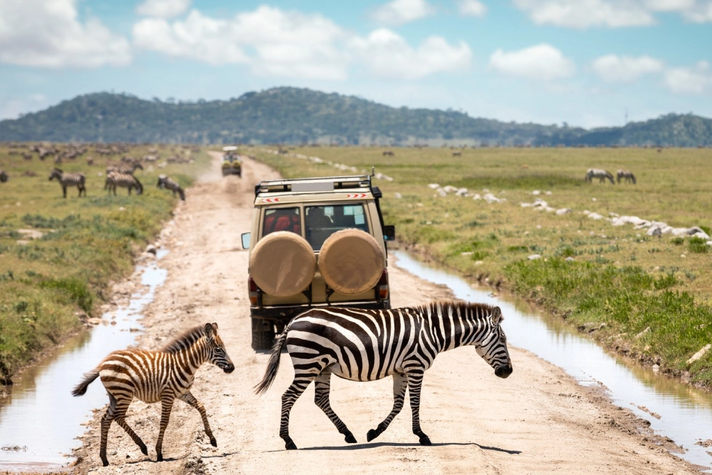 19-days-tanzanian-kenyan-cultural-and-wildlife-safari-52