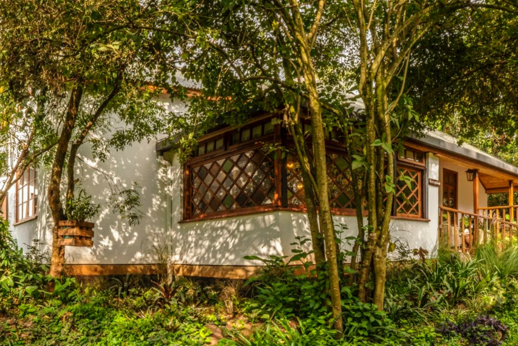 19-days-tanzanian-kenyan-cultural-and-wildlife-safari-8