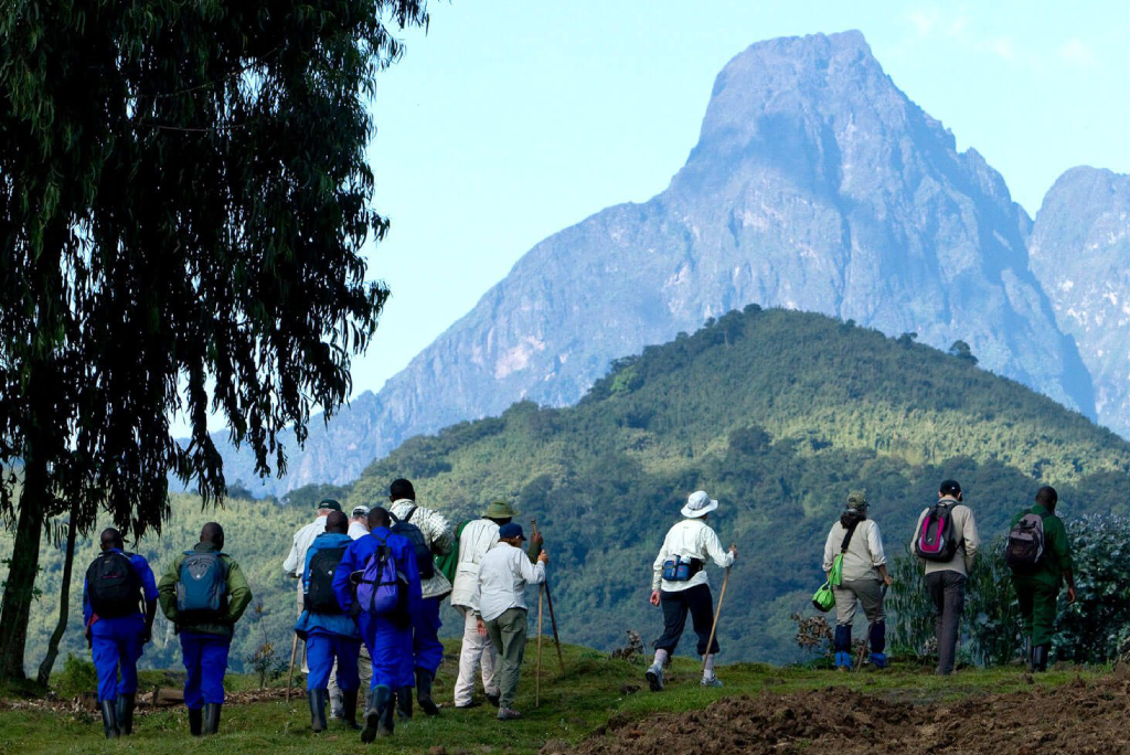 5-days-rwanda-gorilla-trekking-16