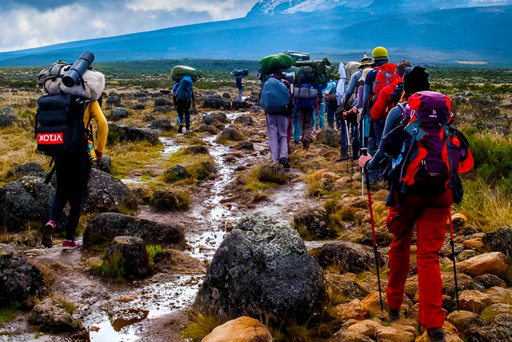 6 Days Shira Route Climbing