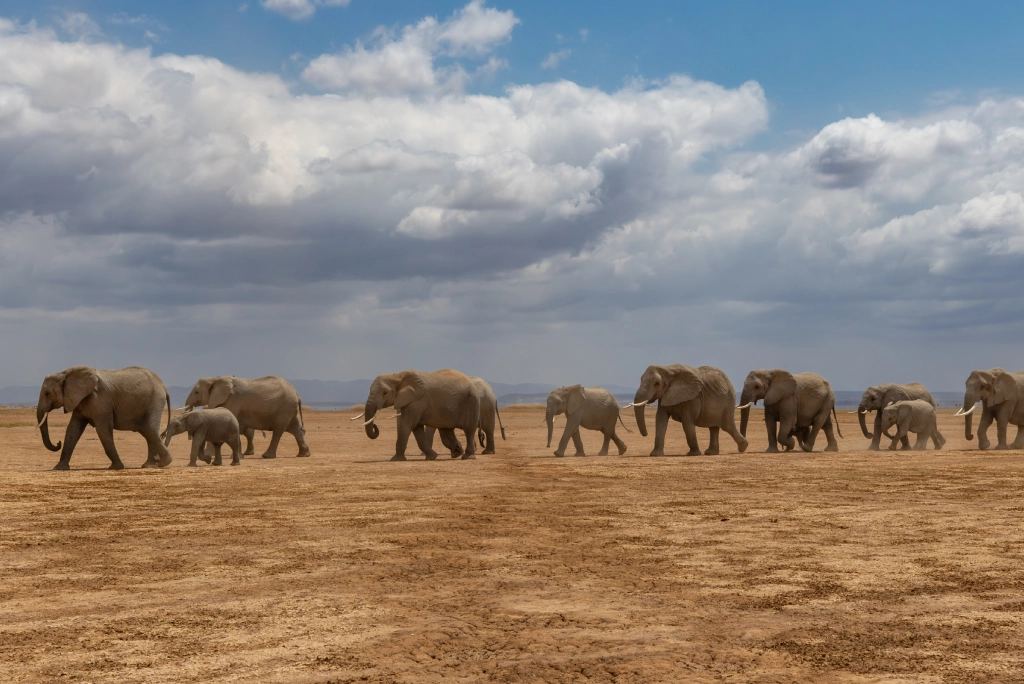 7-days-kenya-safari-15