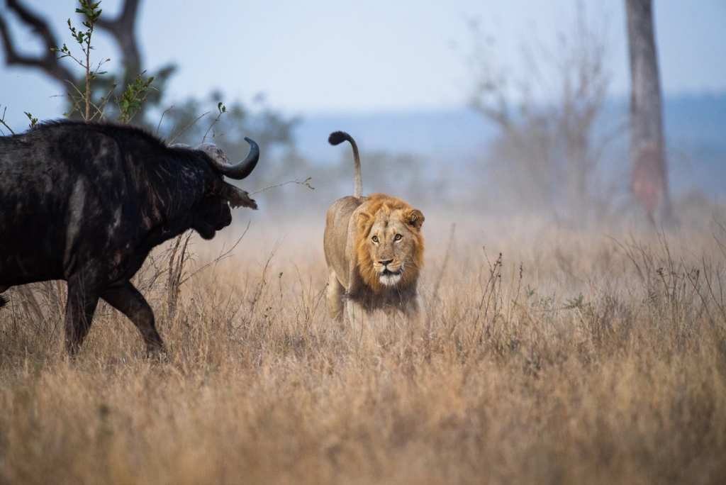 7-days-southern-serengeti-safari-11
