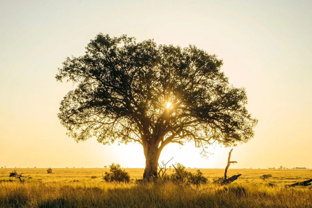 7-days-southern-serengeti-safari-15