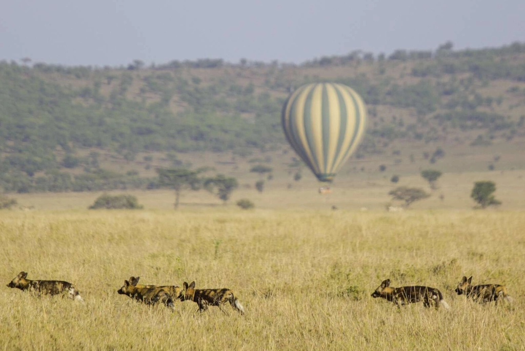 7-days-southern-serengeti-safari-21