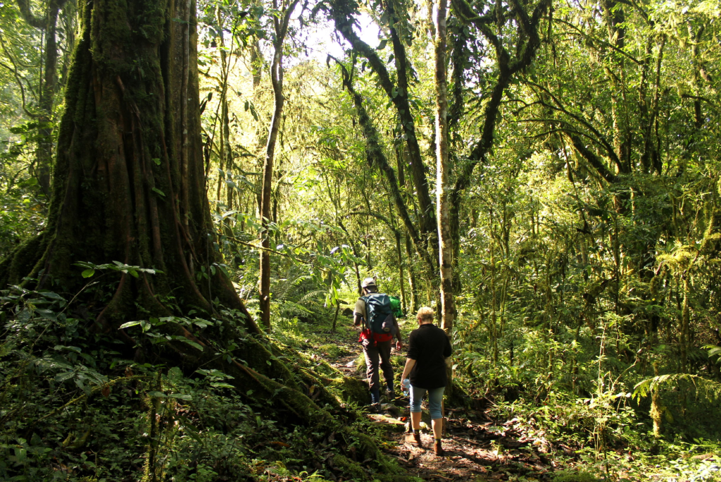 7-days-uganda-safari-18