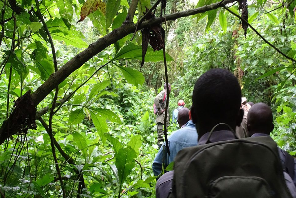 7-days-uganda-safari-19