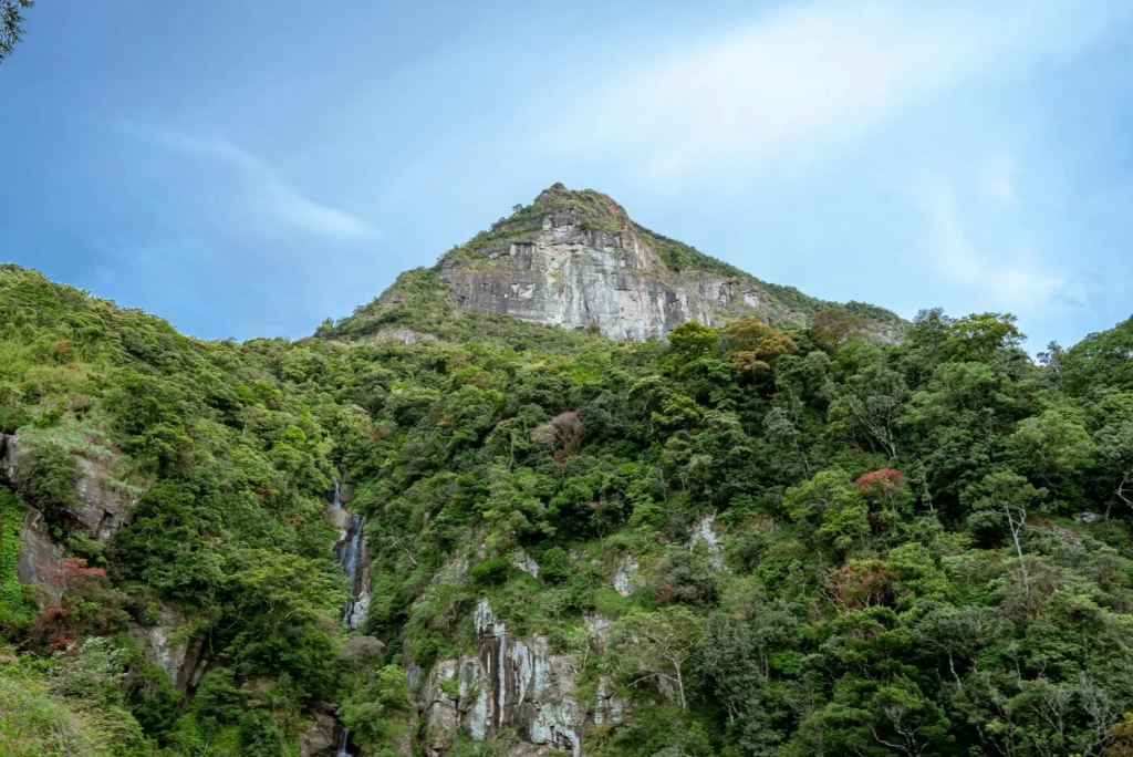 7-days-uganda-safari-2