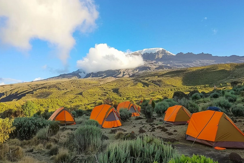 7-days-umbwe-route-12