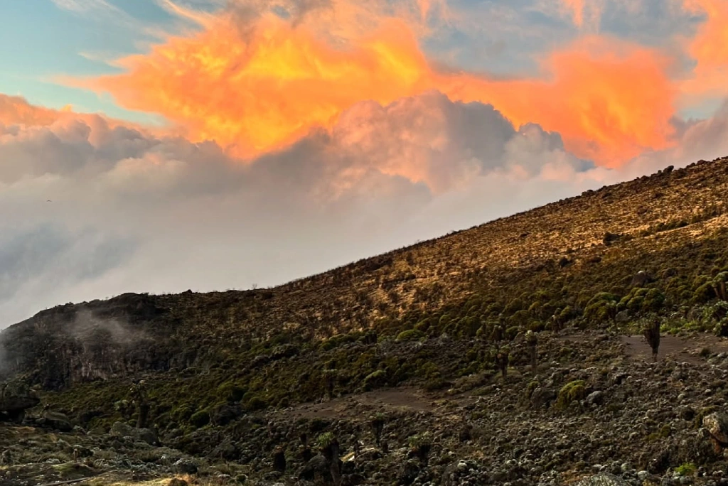 7-days-umbwe-route-6