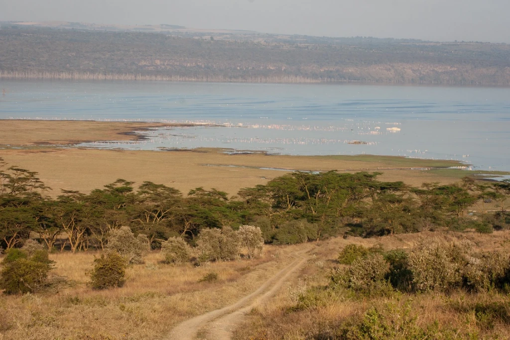 Lake Nakuru Senic View