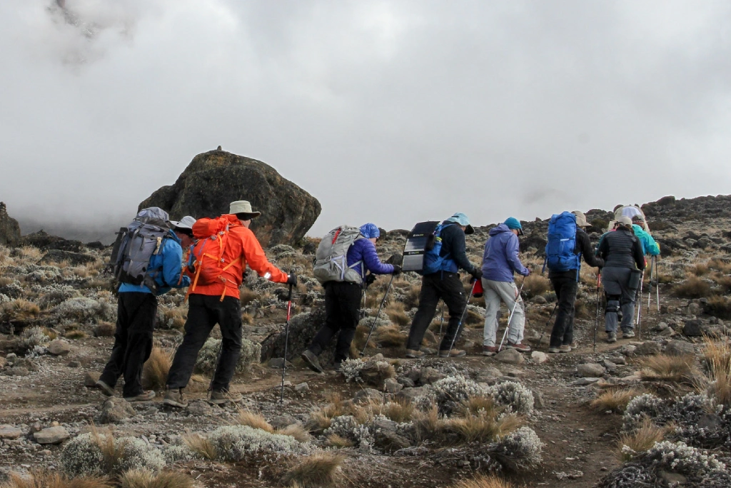 8-days-machame-route-19